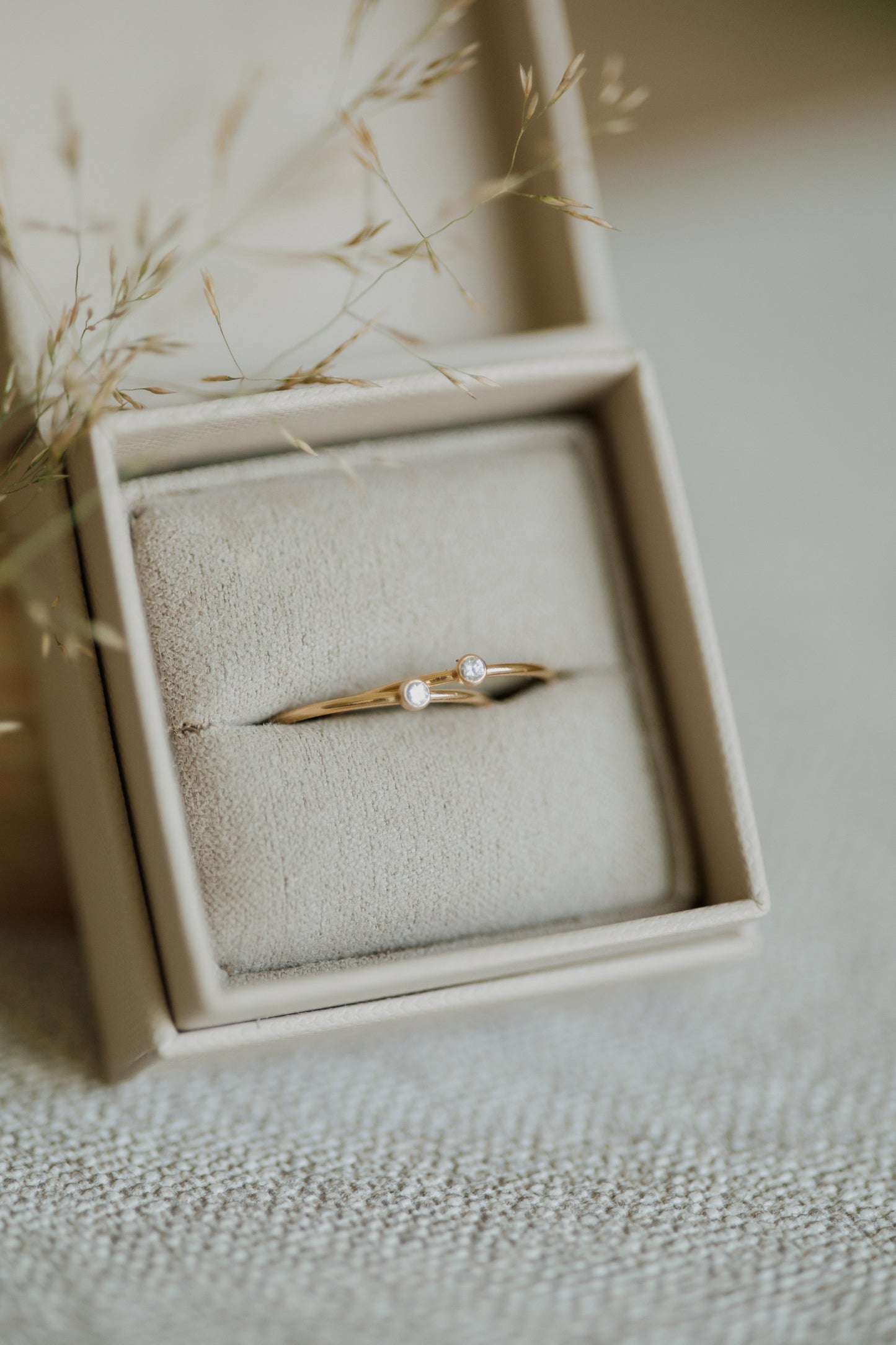 Embryo Ring 14k Gold Filled