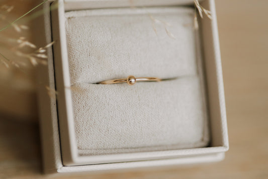 Spinner Ring 14k Gold Filled
